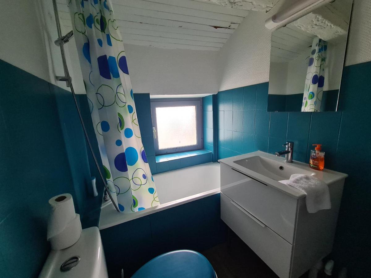 Les Cosy De Nancy - Le Duplex Aux Flammants Roses - 4Etoiles Lägenhet Exteriör bild